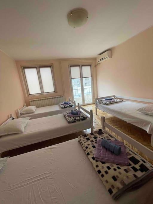 Bg Sunflower Apartment Βελιγράδι Εξωτερικό φωτογραφία