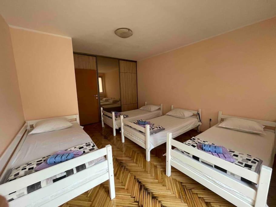 Bg Sunflower Apartment Βελιγράδι Εξωτερικό φωτογραφία