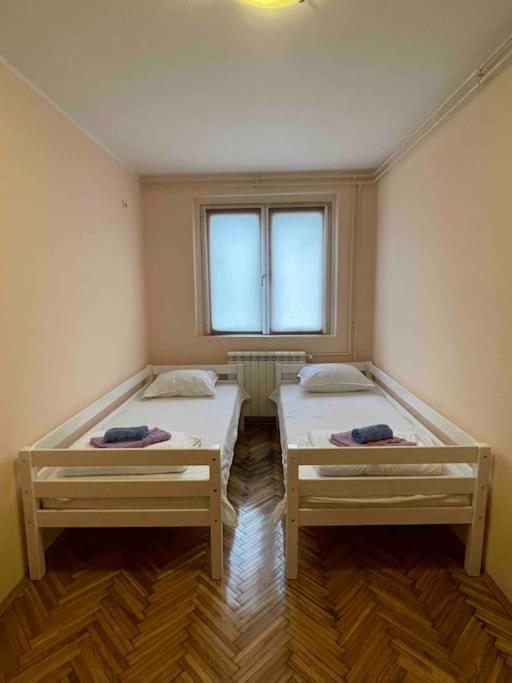 Bg Sunflower Apartment Βελιγράδι Εξωτερικό φωτογραφία